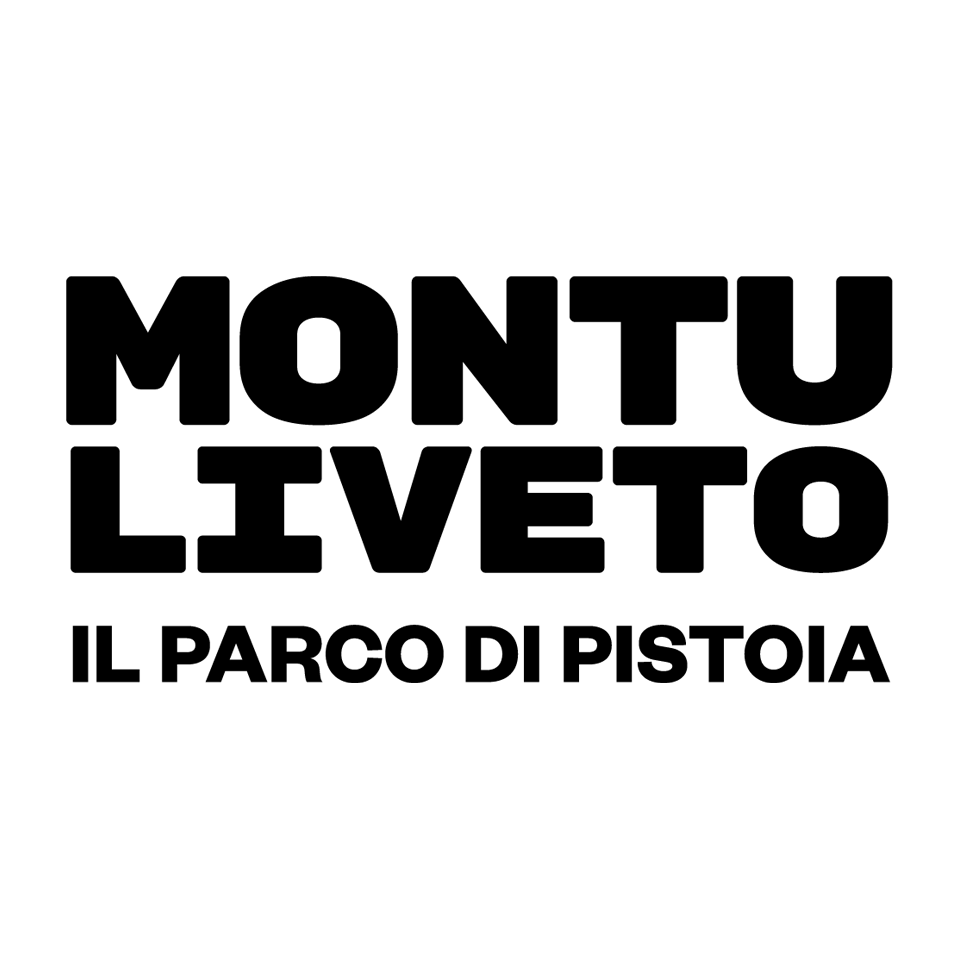 montuliveto-2